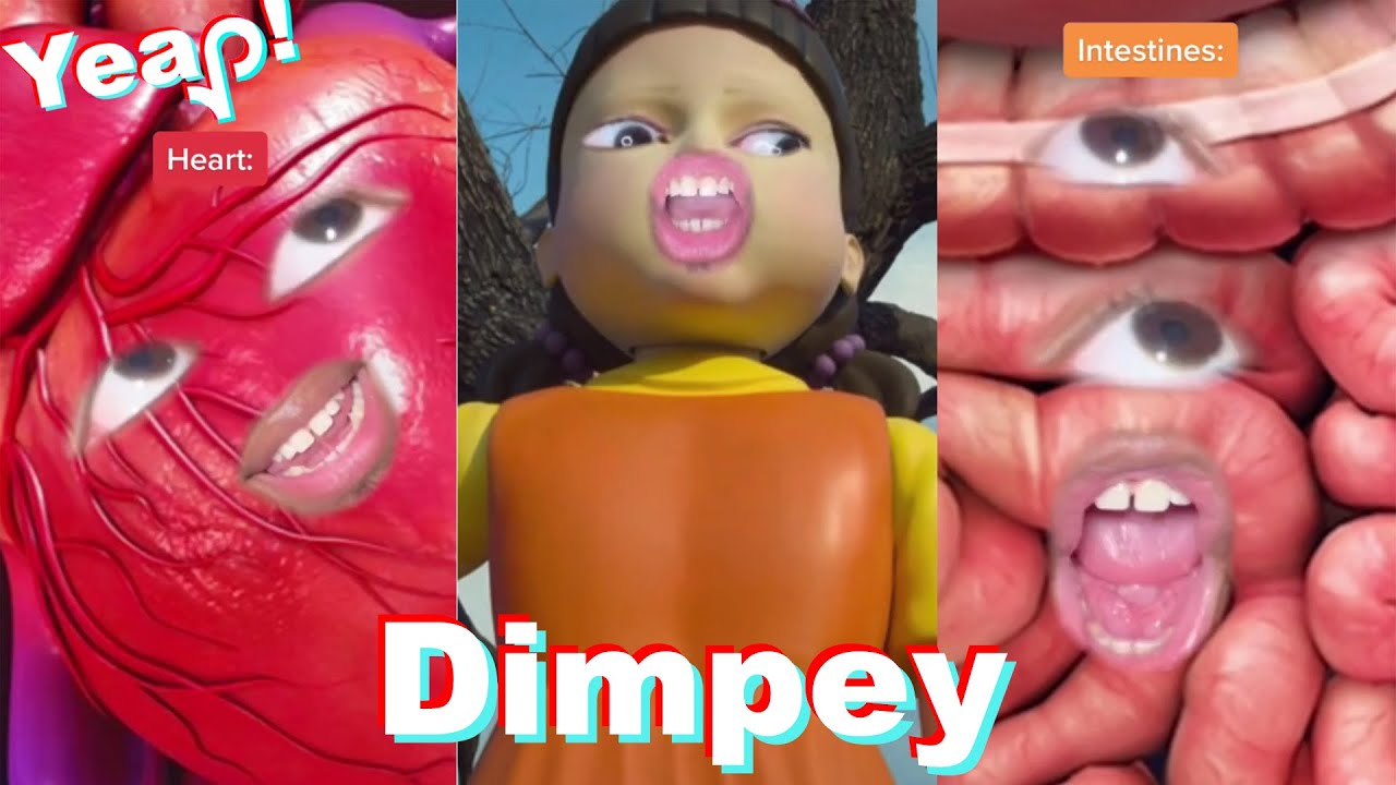 1 HOUR Best of Dimpey6 TikTok Compilation   Funny ImDimpey TikToks of 2021