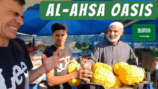 This is the Biggest Oasis in the World *With Prices* | AL-AHSA Saudi Arabia واحة الأحساء 🇸🇦