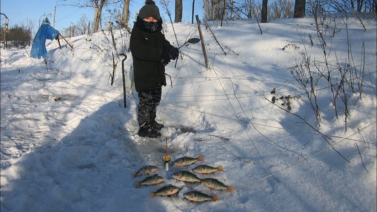 З 5 річним сином, в пошуках окунів