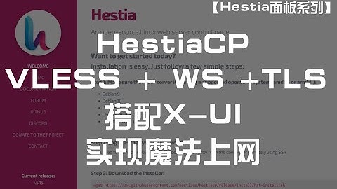 【Hestia面板系列】HestiaCP + VLESS + WS +TLS 搭配X-UI面板 实现魔法上网
