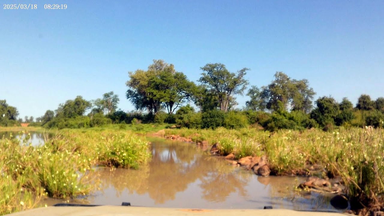 2025-02-17, Gonarezhou National Park - Zimbabue