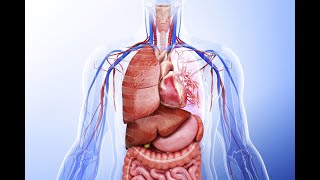LAMP TCM FOUNDATIONS REVIEW 10: Functions of Zang Fu Organs, Acupoint Prescriptions