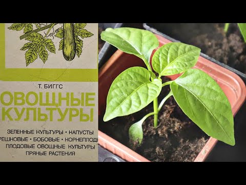 Золотой совет из Советской книги! Вычитала огромный секрет коренастой рассады!
