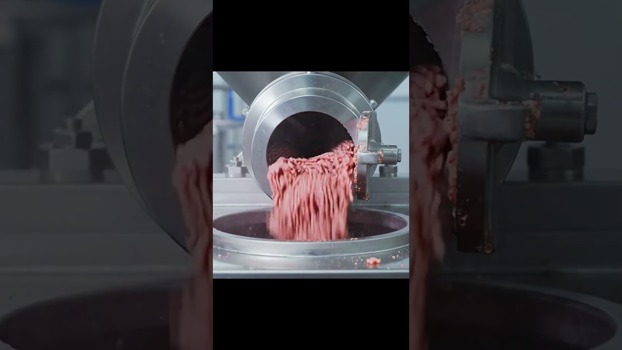 How Dog Food Is Made in The Factory: Inside The Largest Dog Food Factory (Full Process) 