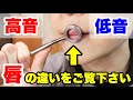 【トランペット】高音と低音の唇の違いを公開！
