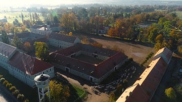 Národní hřebčín Kladruby v dokumentu připomíná svoji dlouhou historii