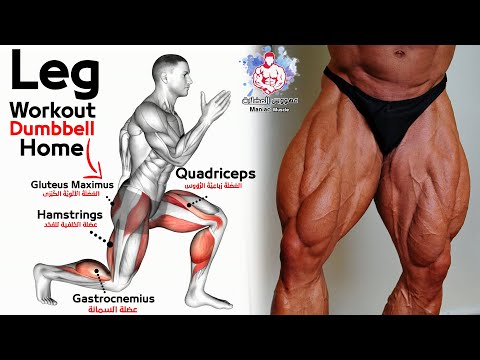 9 تمارين تضخيم الارجل في المنزل كمال الاجسام - Leg Workout Home