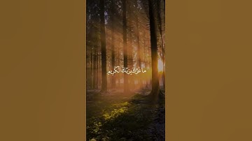 #قران_كريم #قرآن #القران_الكريم #قرآن #القرآن #تلاوة #تجميل #اكسبلور #explore #explorepage