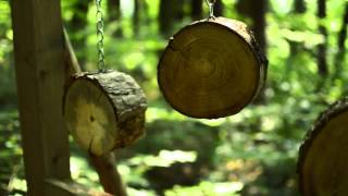 Waldlehrpfad Ums Gartenparadies Painer