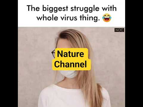 #memesvideo