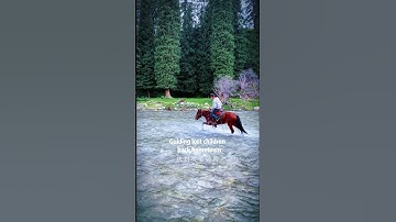 Thumbnail of Father's Grassland, Mother's River.Chinese people’s homesickness,Inner Mongolia Songs.