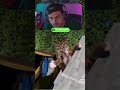 ELE CAIU EM PÉ #gabepeixe #minecraft #react #clips @gabepeixe
