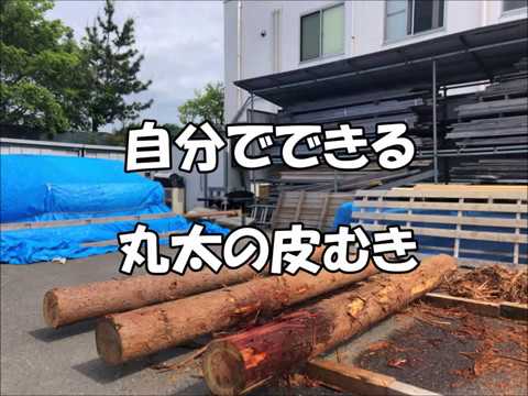カラマツの皮剥き済みの丸太　ロングサイズ 皮剥き後300日放置の丸太が残念な状態に・・・最終仕上げして自社店舗