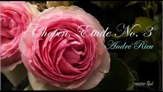 Chopin, Etude No.  3, André Rieu    🌺🍃 ⁀,) * ¸. • *