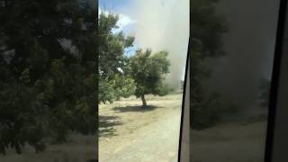 Massive dust devils in Tanzania