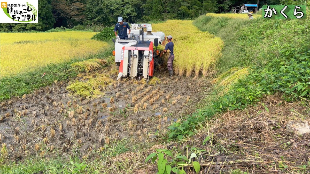 今季コンバイン初オペ（安藤）！アクシデントがありましたが何とか