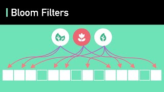 Bloom Filters | Algorithms You Should Know #2 | Realworld Examples