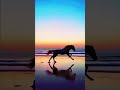 خيل يركض علي البحر Foryoupage Subs Youtube 100 Lovly 