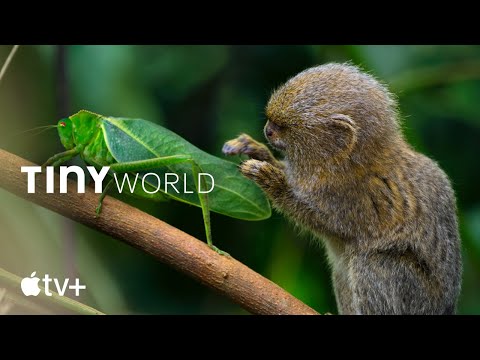 Tiny World — Official Trailer | Apple TV+ - Tiny World — Official Trailer | Apple TV+