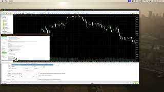 Aurum AI EA MT4 & MT5 Review – Gold Trend EA Backtest Truth