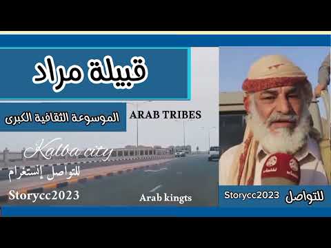 قبيلة مراد الأصول والتاريخ