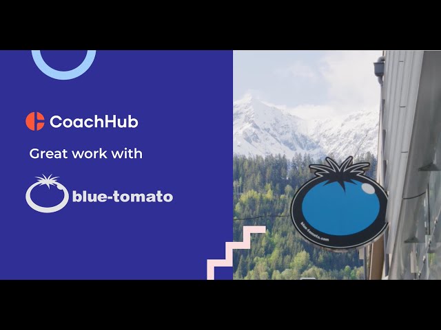 Great Work With Blue Tomato | CoachHub