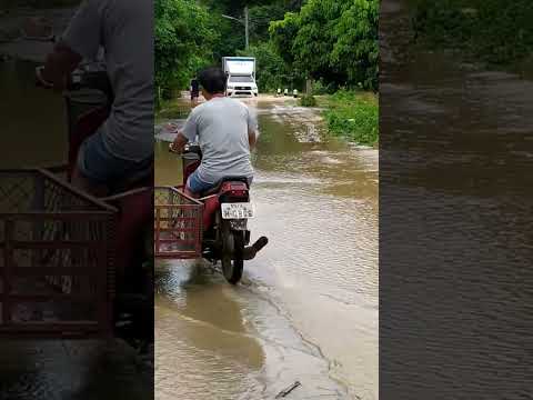 น้ำท่วมใหญ่ในรอบ12บ้านหนองวั สกายวอล์ก จุดวัดใจ วัดพระธาตุผาเงา เชียงราย วิวสามแผ่นดิน สามเหลี่ยมทองคำ