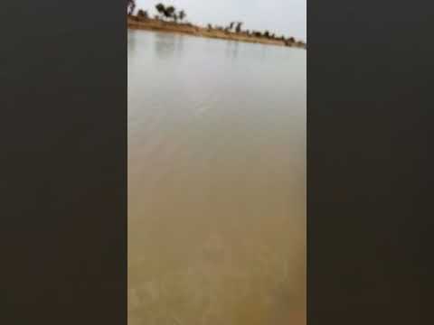 Sofara Sous La Menace Des Djihadistes Qui Incendient Les Villages