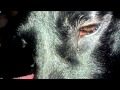 My dogs eye and nose close up lol
