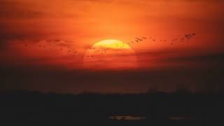 Planet Funk - Chase The Sun (Alex Neri Mix)