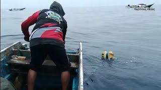 CARA MANCING TUNA MENGGUNAKAN BALON,UMPAN CUMI.sambaran tuna babon yang luar biasa.umpan ampuh