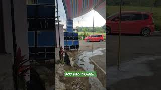 Download Lagu Mafia sound mini live on celep Kedawung Sragen #shorts #sound #mafiasound MP3