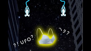 ワコールジュニア　Enjoy BRA♡【UFO!?】