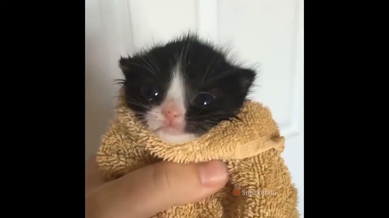 Android vs iPhone Alarms YouTube