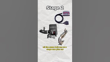 Stages of Modification: Explained!