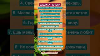 ЗАЩИТА ПЕЧЕНИ!!! #здоровье #зож #витамины #печень #пп #шортс