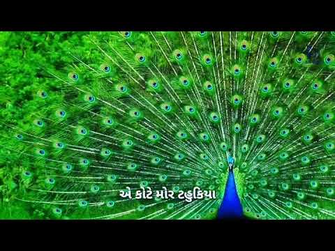 Ashadhi bij status 😍😍અષાઢી બીજ સ્ટેટસ🙏AshdhibijnaramKutchi new year  ||J&J dubs studio present||