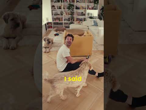 AJR Fan Puzzle