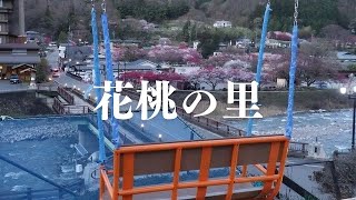 【一華総観】【阿智村】【完全版】花桃の里