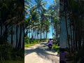 please subscribe , have a great day #viral #travel #trending #beach #coconut  #shorts #shortvideo