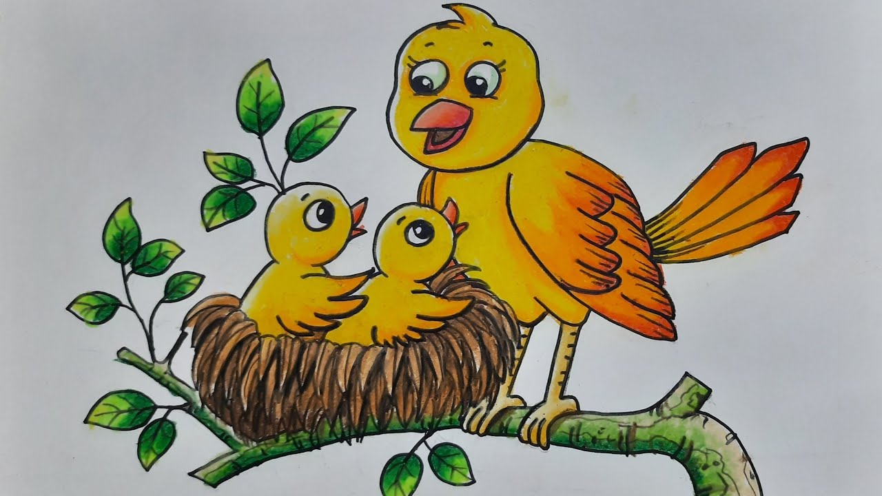 50 Koleksi Gambar Unggas Kartun Gratis