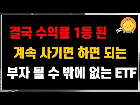 결국은 이렇게 높은 수익률을 보장해주는 ETF / 계속 사모으기만 하면 되는 마음 편한 부자되는 ETF