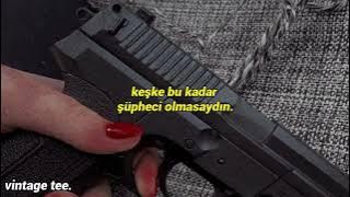 taylor swift - this is why we can't have nice things. (türkçe çeviri)