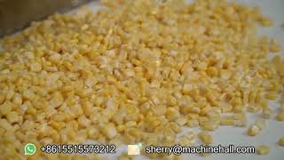 Fresh-Cut Vegetable Processing Line