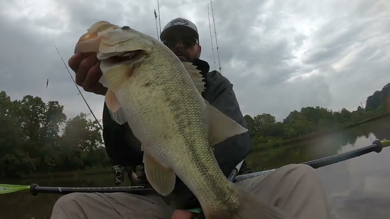 Huge Northeast Largemouth Bass! YouTube