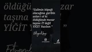 Vetene Aid Menalı Sözler