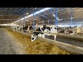 Гадз-Агро молочні комплекси. Сучасні корівники. Утримання корів