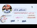الدرس الأول جزء 1 تركيب DNA و RNA الحمض النووي أحياء كامبردج 12 