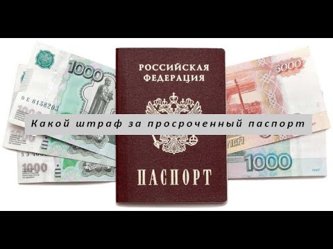 Просроченный капитан полиции уже майор. Привлечение за просроченный паспорт РФ. Просрочка наше всё!