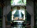 calming tropical natural atmosphere #relaxing #shorts #nature #asmrsounds #forestwhispers